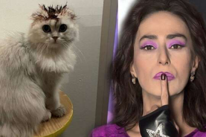 Yıldız Tilbe, kedisini boyadı