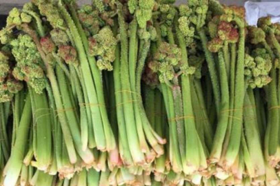 Tam mevsimi: Işkın nedir, faydaları nelerdir?