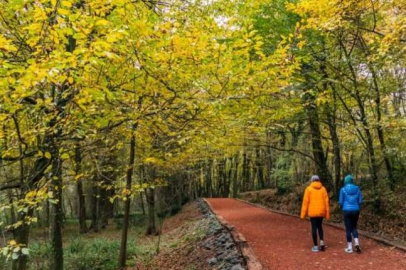 Mangal,semaver ve ateşli piknik yapmak yasaklandı