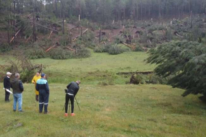 Yüzlerce ağaç devrildi! Köylüler şokta