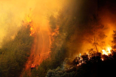 NASA'nın yangın haritasında İzmir alarm veriyor: Kırmızıya boyandı