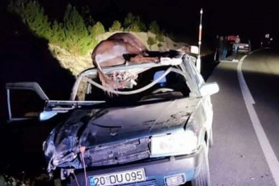 Çarptığı eşek otomobilinin tavanına düşünce ölümüne neden oldu