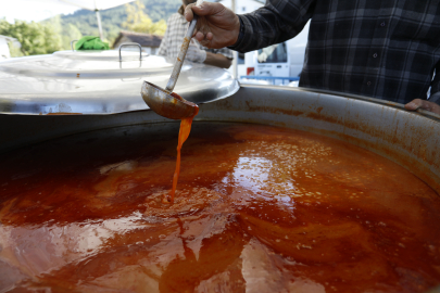 Fasulye Şenliği Cerrah Fasulyesine İlgiyi 3 Kat Arttırdı