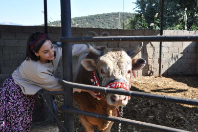 Genç kızın boğa sevgisi şaşırtıyor!