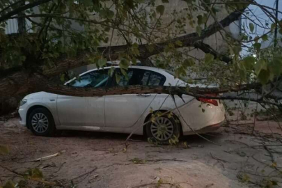 Bursa’da şiddetli lodos!