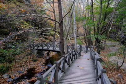 Sadağı Kanyonu Tabiat Parkı, büründüğü sonbahar renkleriyle büyülüyor