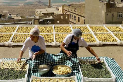 TBMM Dilekçe Komisyonu, tarımsal jalkınma kooperatifini inceledi!