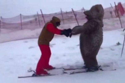Uludağ'da ayı ve penguen kostümüyle kaydılar