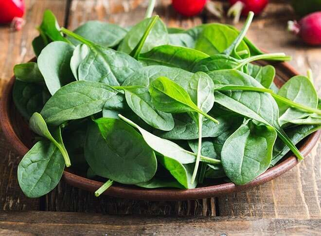 KAN SULANDIRICI İLE ISPANAK