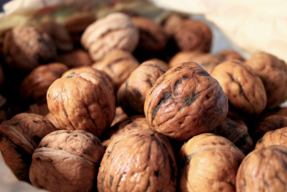 Hamilelikte mutlaka tüketin! Ceviz tüketerek bebeğinizin beyin gücünü artırabilirsiniz..