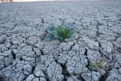 Tarım ve Orman Bakanlığı, kuraklıkla nasıl mücadele edeceğini açıkladı