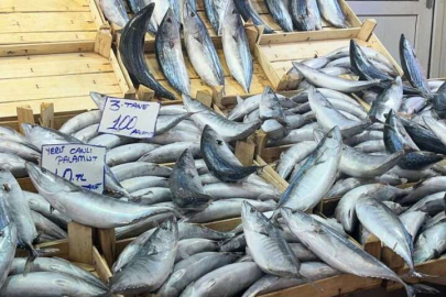 Marmara'daki hamsi avı yasağı Bursa'yı etkileyecek mi?