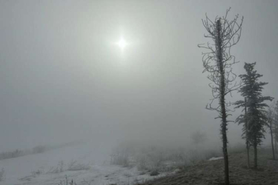 Erzurum'da yoğun sis!