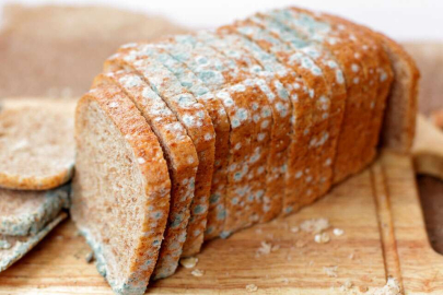 Küflü yiyecek tüketenler dikkat! Kimi 'Bir şey olmaz' deyip tüketiyor ama...