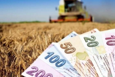 Tarımsal destek ödemeleri bugün hesaplara yatıyor