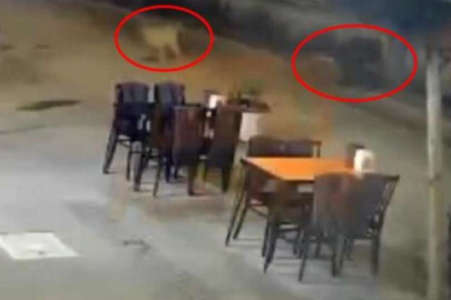 Adana'da başıboş köpeklerin yayaya saldırdığı anlar kamerada
