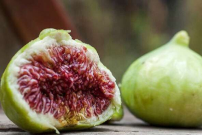 İncir yerken dikkat: Yemeden önce bir kez daha düşünün! Meğer içerisinde ölü arılar ve larvalar…