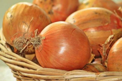 Fiyatları düşürecek gelişme! Turfanda soğan hasadı başladı