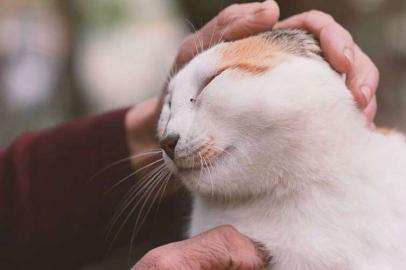 Gürsu’nun Yaramaz ‘Karahıdır’ı