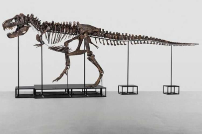T-Rex iskeleti 6,2 milyon dolara alıcı buldu
