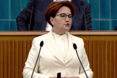 Meral Akşener'den Ali Babacan'ı kızdıracak ekonomi açıklaması