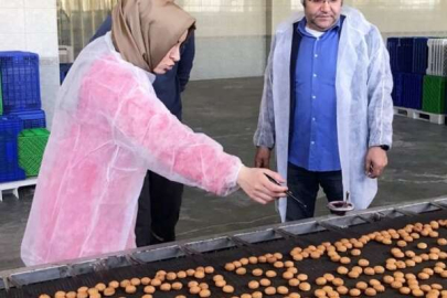 Bursa Kemalpaşa tatlısının markası korunacak