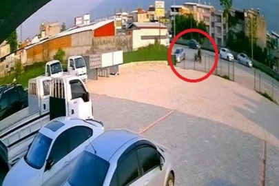 Başıboş at kazada telef oldu!