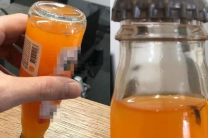 Soda şişesinin içinden sinek çıktı!