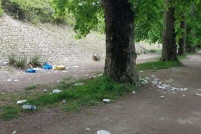 Bursa'nın 'Oksijen Koridoru'nun hali içler acısı!