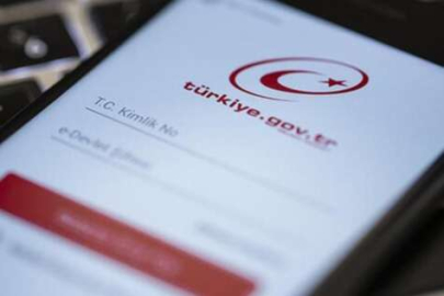 e-Devlet'te siyasi parti üyeliği iptal yoğunluğu