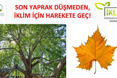 'Kurumsal Sera Gazı Envanteri' hazırlandı