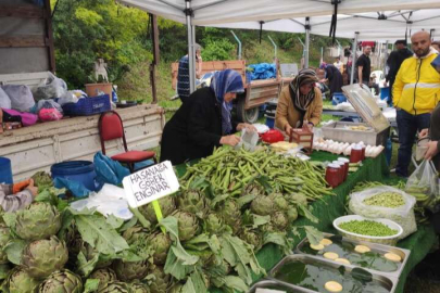 14. Hasanağa Enginar Festivali başladı