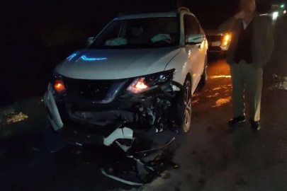 Ana yola fırlayan domuz sürüsüne araçlar çarptı