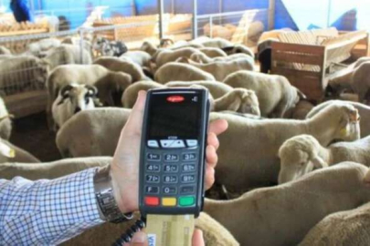 Kredi kartıyla kurban satın almak caiz mi?