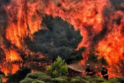 Kanada'daki orman yangınlarının dumanı New York'a kadar ulaştı