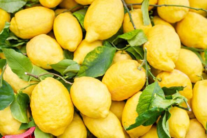 Limon koklamanın faydaları efsane...