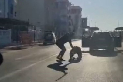 Survivor Hikmet, başcazgırı sokak ortasında dövdü