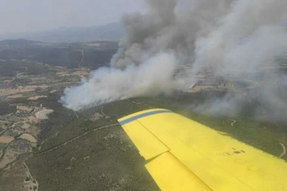 İzmir Kınık'ta orman yangını