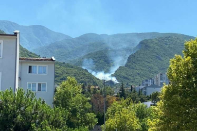 Bursa Kaplıkaya'da orman yangını!