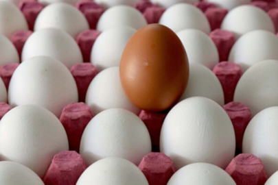 Beyaz ve kahverengi yumurtanın farkı...