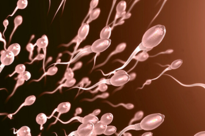 Sperm sayısı azlığı neden olur?