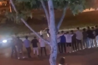 Bursa'da bir grup kalabalık yolu keserek halay çekti!