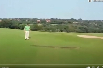 Van'da dev yılan görüldüğü iddiası gerçek dışı çıktı