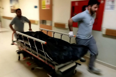 Bursa'da arı soktu! Kadın hayatını kaybetti