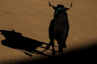 İspanya'da boğa güreşlerinin kaldırılması için Madrid'de gösteri düzenlendi