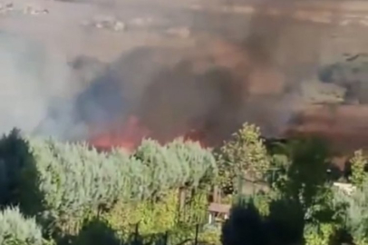 İstanbul'da orman yangını!