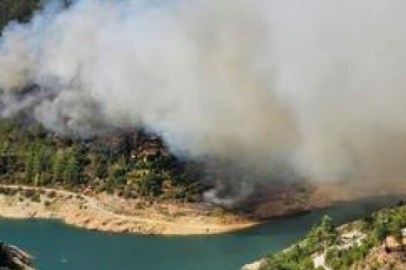 Antalya'da orman yangını!