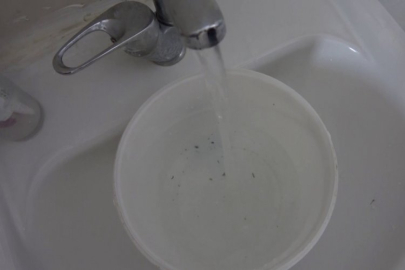 Musluklardan kurtçuk aktı!