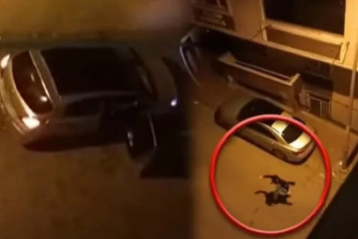 Sokakta dehşet: Saldırgan dakikalarca dövdüğü kadını kaçırdı