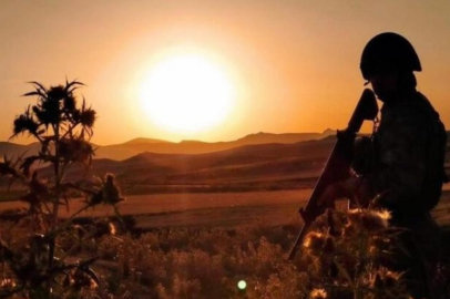 Diyarbakır Kulp'ta 3 kategoride 4 terörist etkisiz hale getirildi